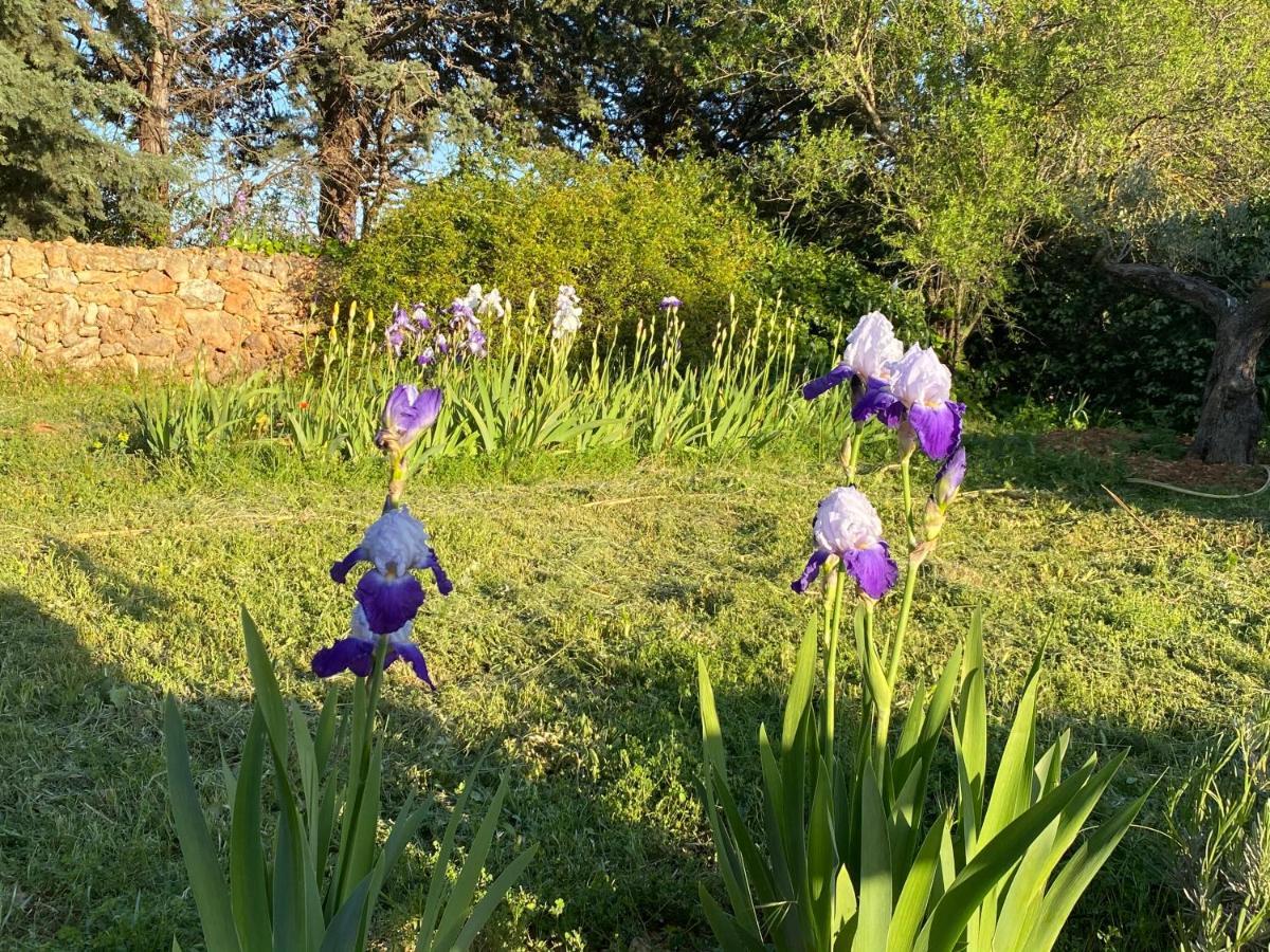 Villa Faro Provence Var Montfort-sur-Argens Εξωτερικό φωτογραφία