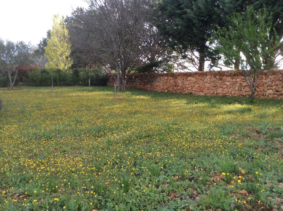 Villa Faro Provence Var Montfort-sur-Argens Εξωτερικό φωτογραφία